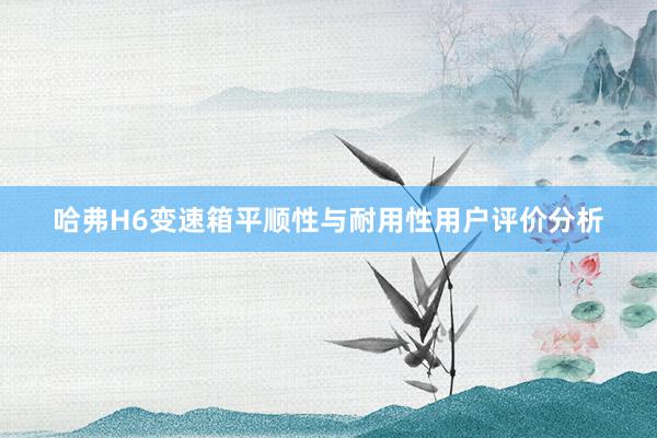 哈弗H6变速箱平顺性与耐用性用户评价分析